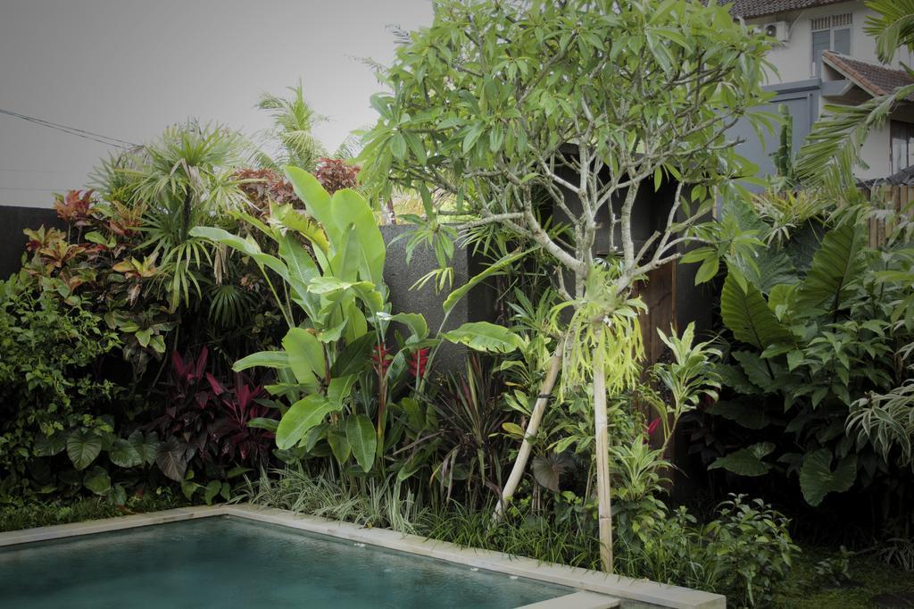 Dugul Ubud ห้อง รูปภาพ